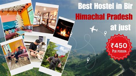 best hostel in bir|little bir hostel reviews.